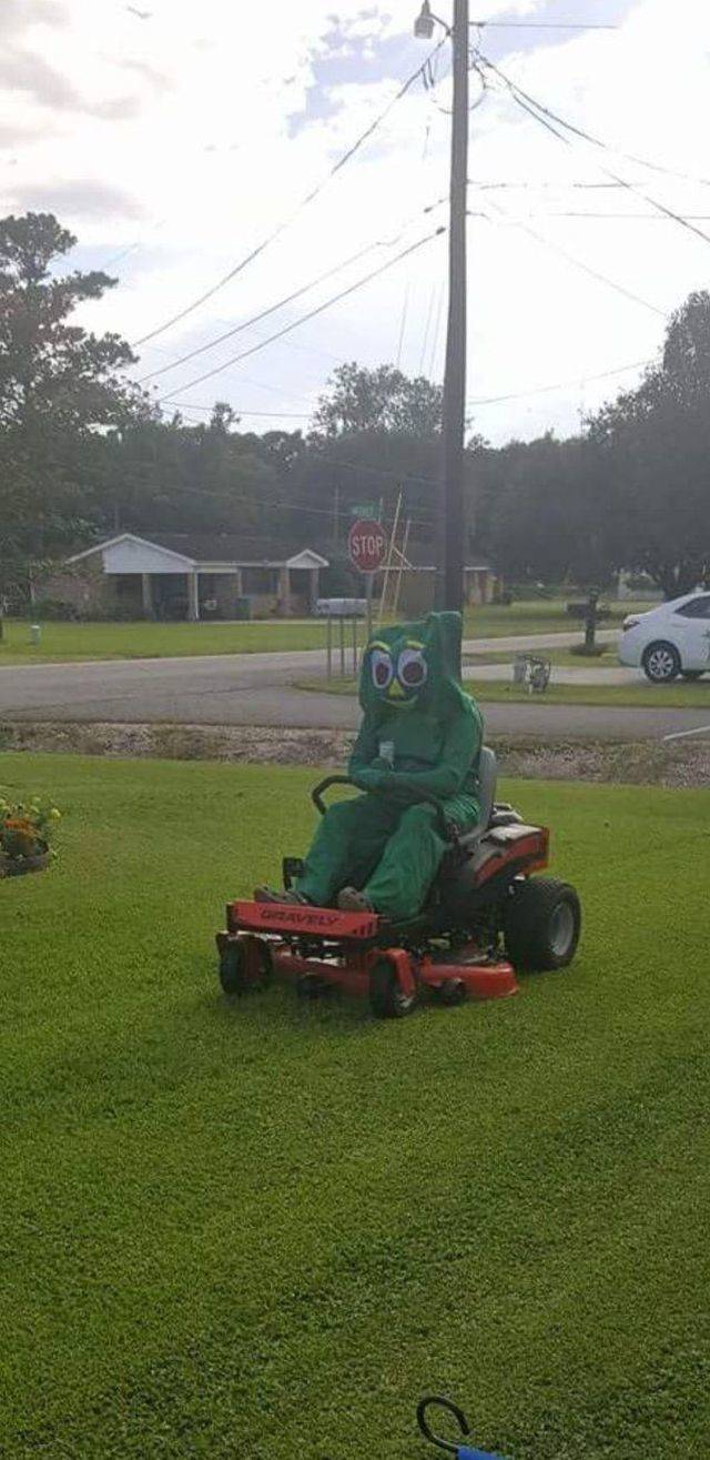 daily picdump 96 pics 47.html - 96 HD Photos | Premium Gallery 2018