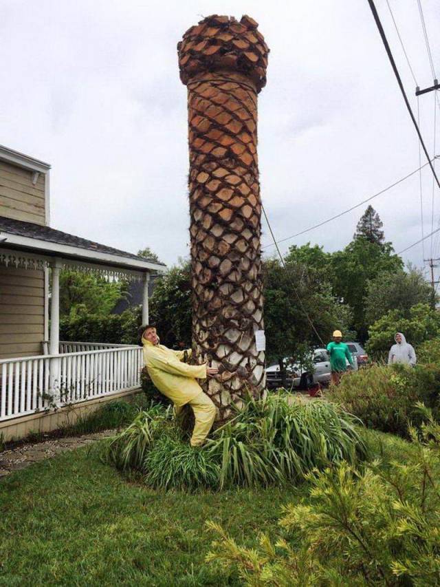 Dirty Mind, Come Here!