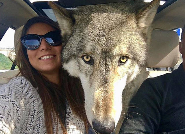 morning picdump 51 pics 24.html - 51 HD Photos | Premium Gallery 2018