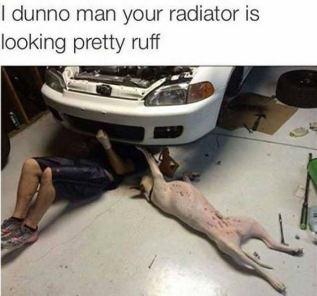 morning picdump 51 pics 24.html - 51 HD Photos | Premium Gallery 2018