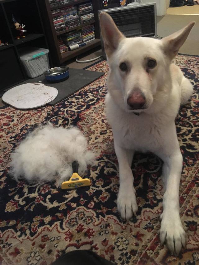 morning picdump 51 pics 24.html - 51 HD Photos | Premium Gallery 2018