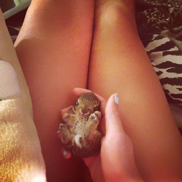 Daily Picdump