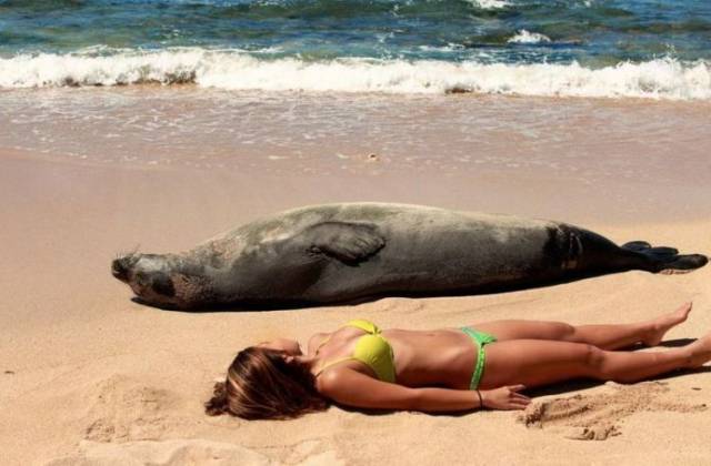 daily picdump 96 pics 4.html - 96 HD Photos | Premium Gallery 2018
