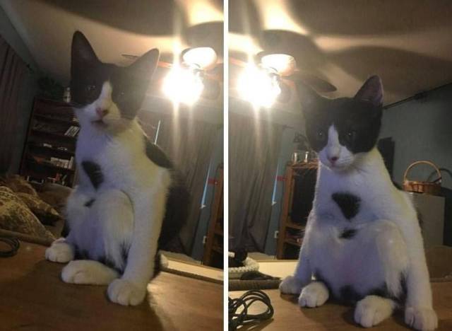 daily picdump 96 pics 4.html - 96 HD Photos | Premium Gallery 2018