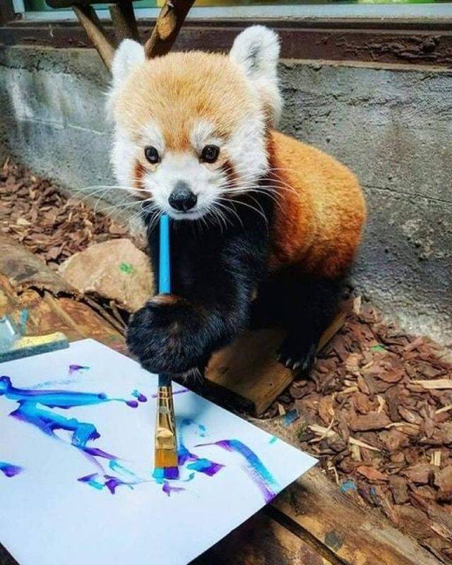 daily picdump 96 pics 4.html - 96 HD Photos | Premium Gallery 2018