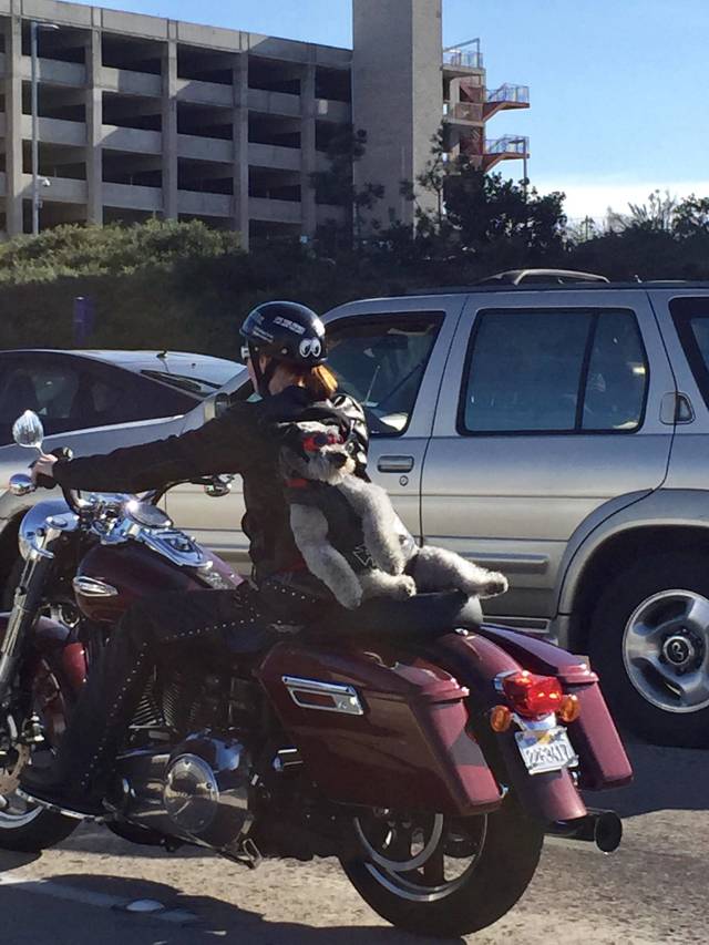 morning picdump 51 pics 13.html - 51 HD Photos | Premium Gallery 2018