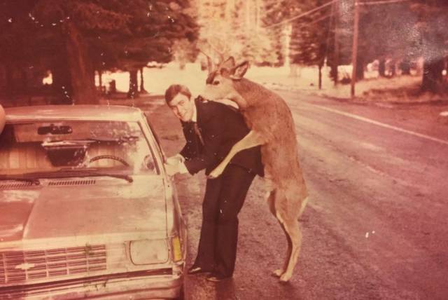 daily picdump 95 pics 40.html - 95 HD Photos | Premium Gallery 2018