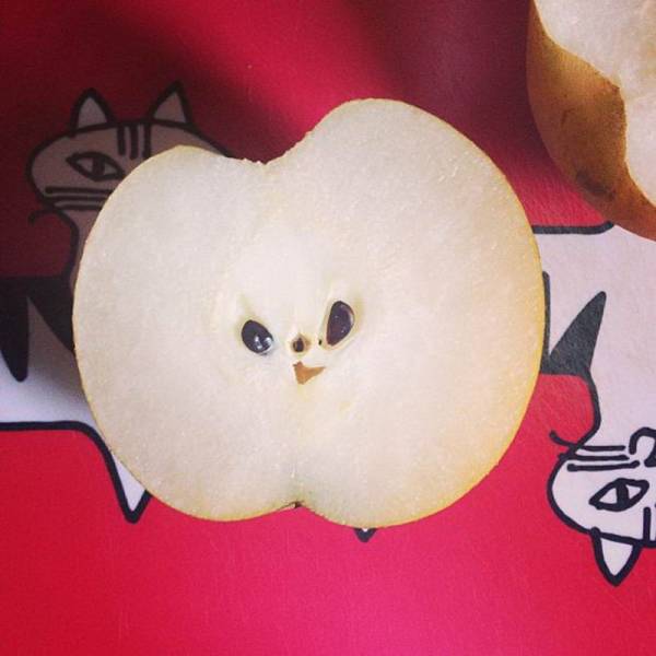 daily picdump 95 pics 40.html - 95 HD Photos | Premium Gallery 2018