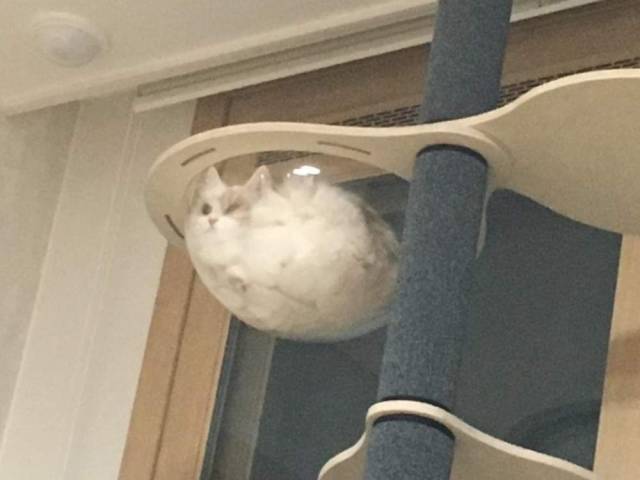 daily picdump 95 pics 40.html - 95 HD Photos | Premium Gallery 2018