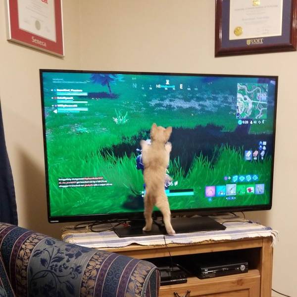 daily picdump 95 pics 40.html - 95 HD Photos | Premium Gallery 2018