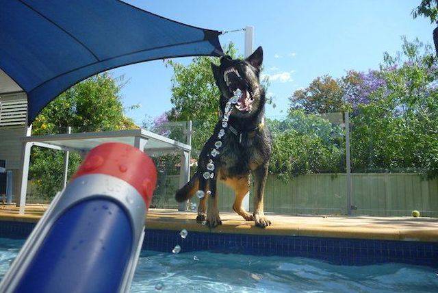 daily picdump 95 pics 40.html - 95 HD Photos | Premium Gallery 2018