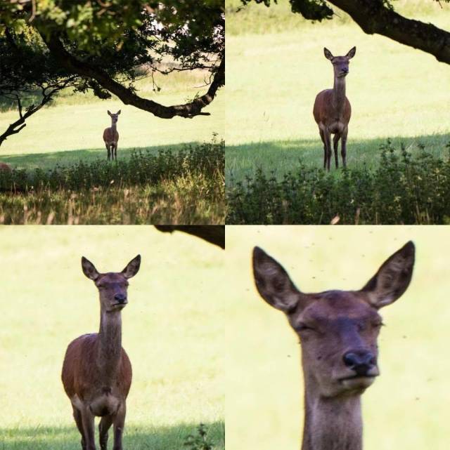 daily picdump 95 pics 40.html - 95 HD Photos | Premium Gallery 2018