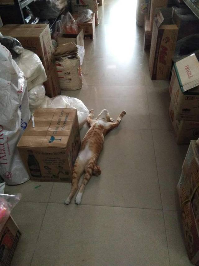 daily picdump 95 pics 40.html - 95 HD Photos | Premium Gallery 2018