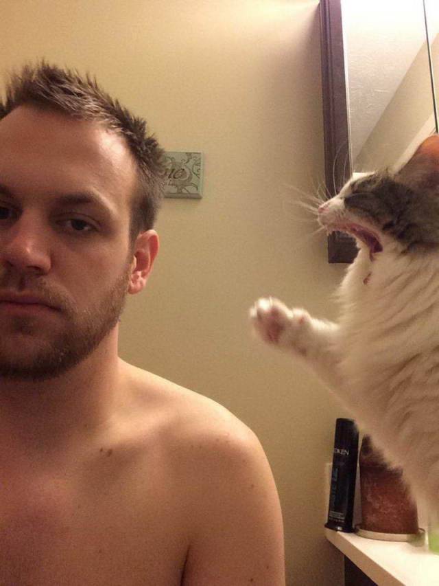 daily picdump 95 pics 40.html - 95 HD Photos | Premium Gallery 2018