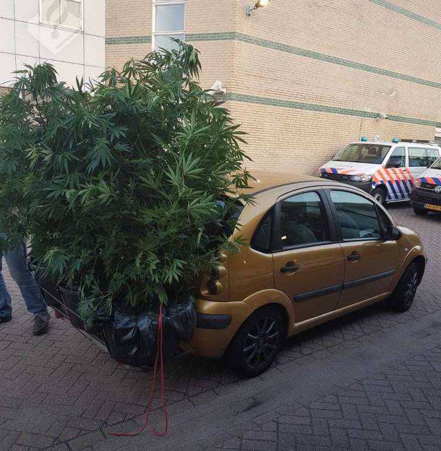 daily picdump 95 pics 40.html - 95 HD Photos | Premium Gallery 2018