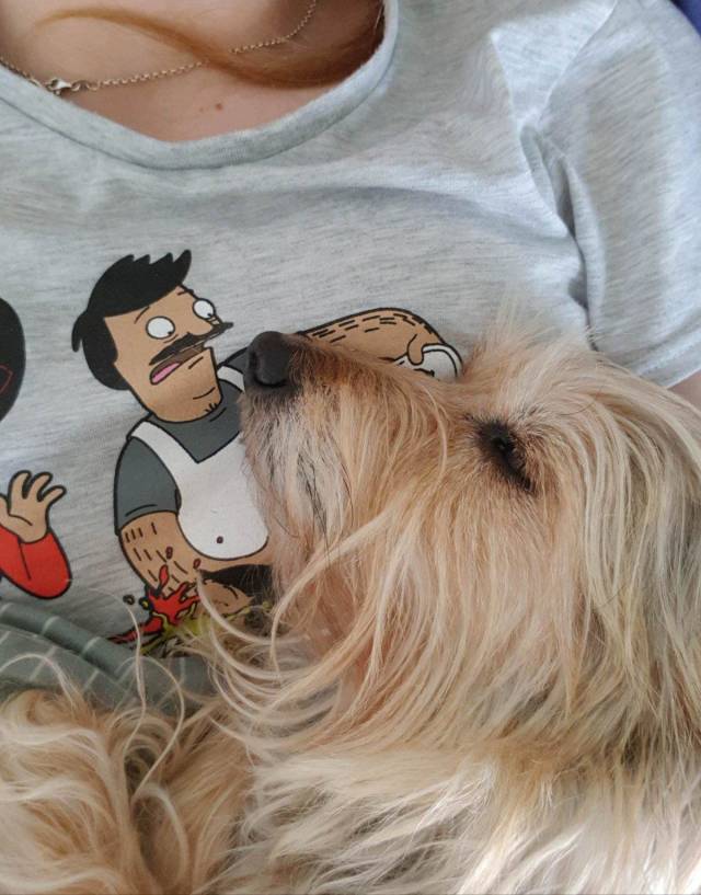 daily picdump 95 pics 40.html - 95 HD Photos | Premium Gallery 2018