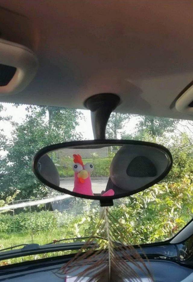 daily picdump 95 pics 40.html - 95 HD Photos | Premium Gallery 2018