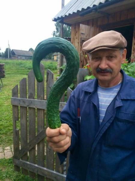 Morning Picdump
