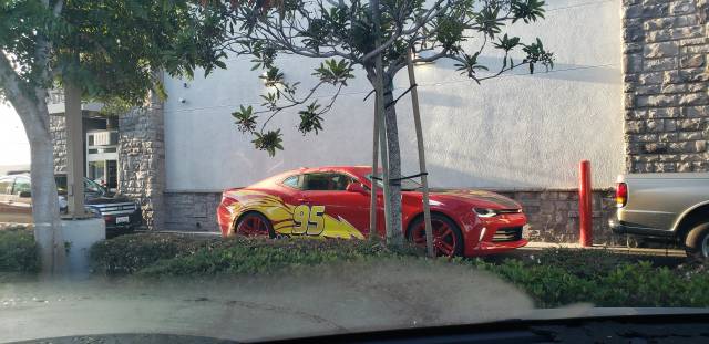 Morning Picdump