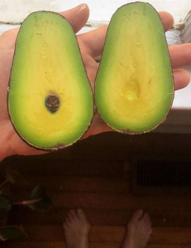 morning picdump 50 pics 3.html - 50 HD Photos | Premium Gallery 2018