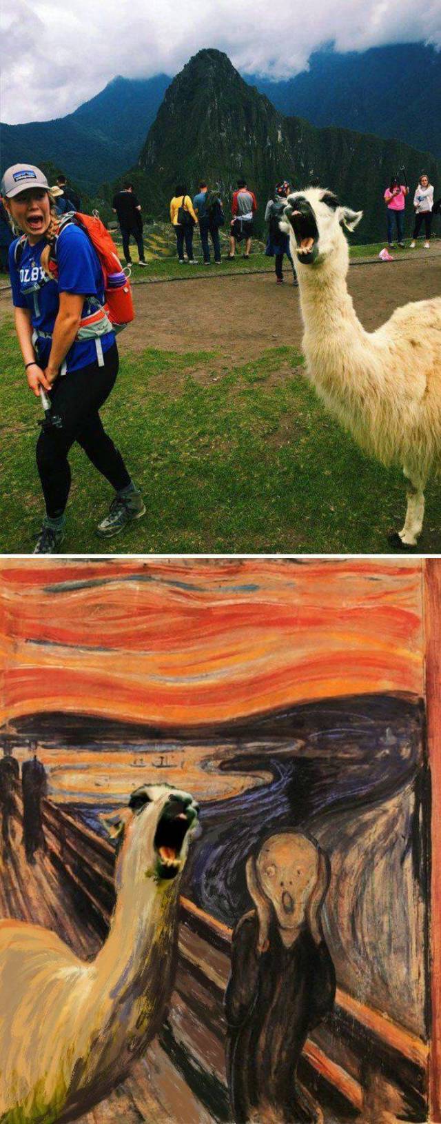 Daily Picdump [WEEKEND EDITION]