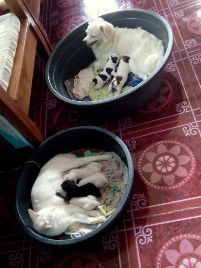 daily picdump weekend edition 72 pics 2.html - 72 HD Photos | Premium Gallery 2018