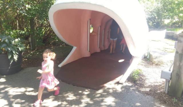 daily picdump 99 pics 38.html - 99 HD Photos | Premium Gallery 2018