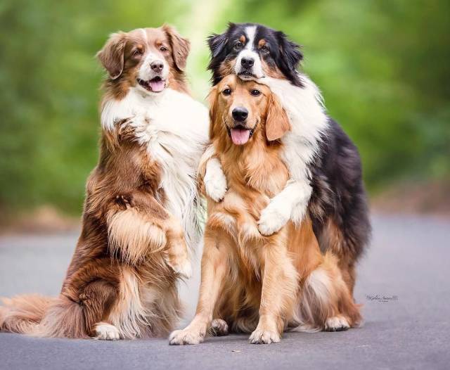 daily picdump 99 pics 38.html - 99 HD Photos | Premium Gallery 2018