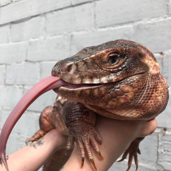 daily picdump 99 pics 38.html - 99 HD Photos | Premium Gallery 2018