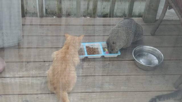 daily picdump 99 pics 38.html - 99 HD Photos | Premium Gallery 2018