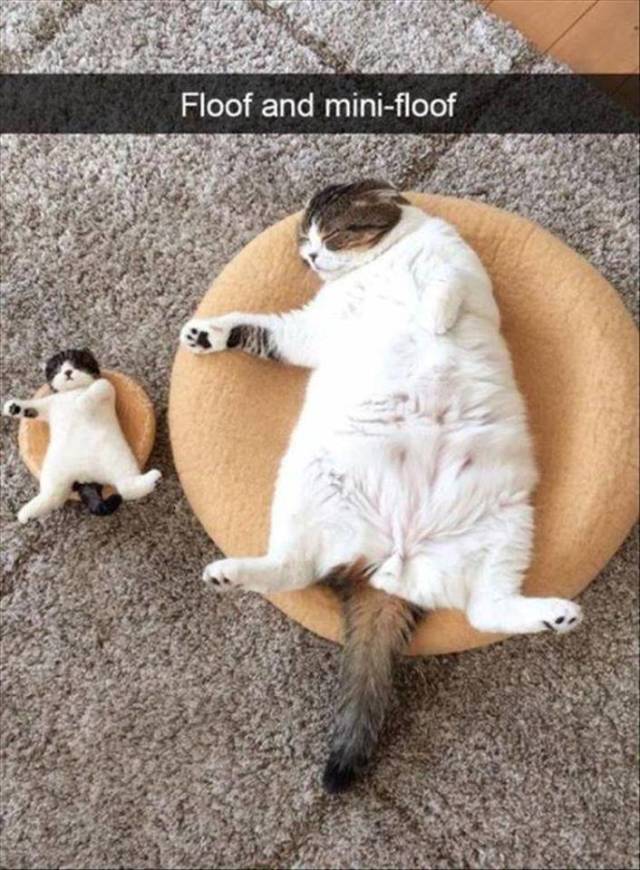 daily picdump 99 pics 38.html - 99 HD Photos | Premium Gallery 2018