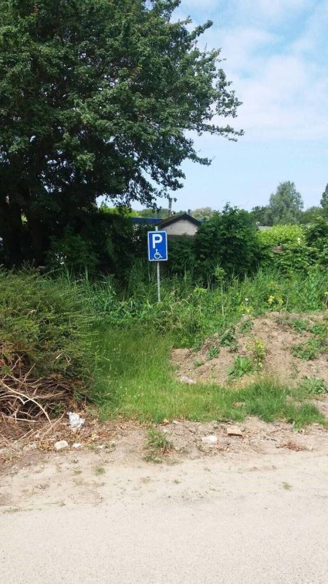 daily picdump 99 pics 38.html - 99 HD Photos | Premium Gallery 2018