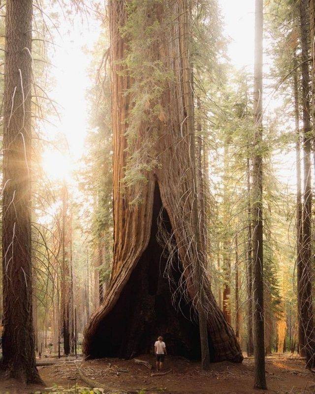 daily picdump 99 pics 38.html - 99 HD Photos | Premium Gallery 2018