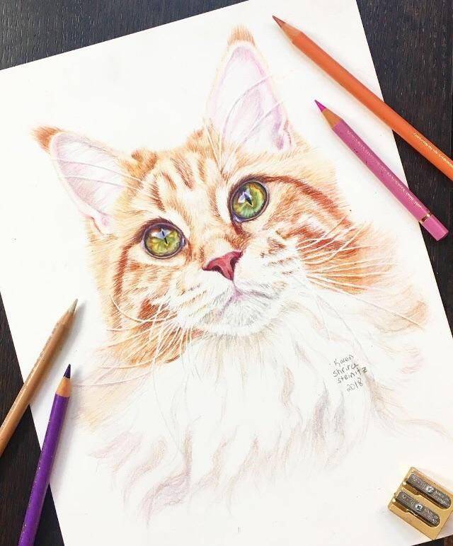 daily picdump 99 pics 38.html - 99 HD Photos | Premium Gallery 2018