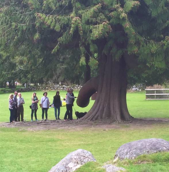 morning picdump 52 pics 3.html - 52 HD Photos | Premium Gallery 2018