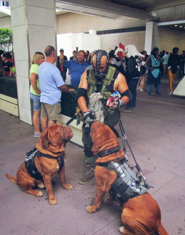 morning picdump 52 pics 3.html - 52 HD Photos | Premium Gallery 2018