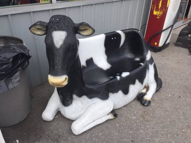 morning picdump 50 pics 14.html - 50 HD Photos | Premium Gallery 2018