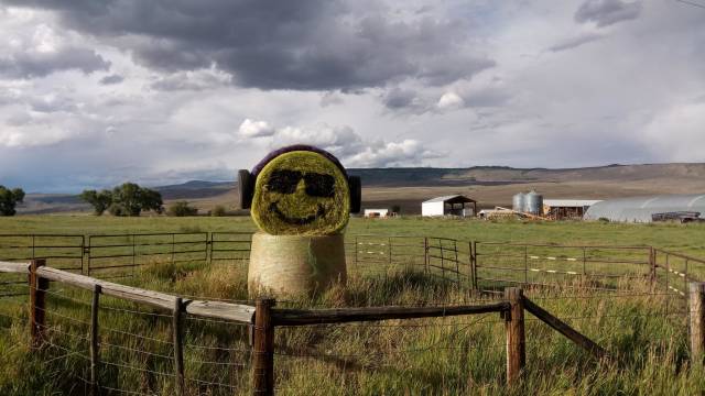 morning picdump 50 pics 14.html - 50 HD Photos | Premium Gallery 2018