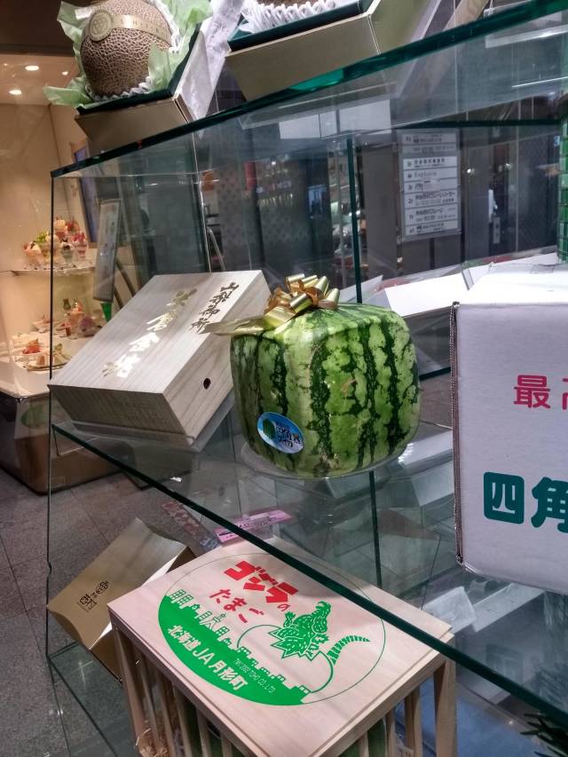 morning picdump 50 pics 14.html - 50 HD Photos | Premium Gallery 2018