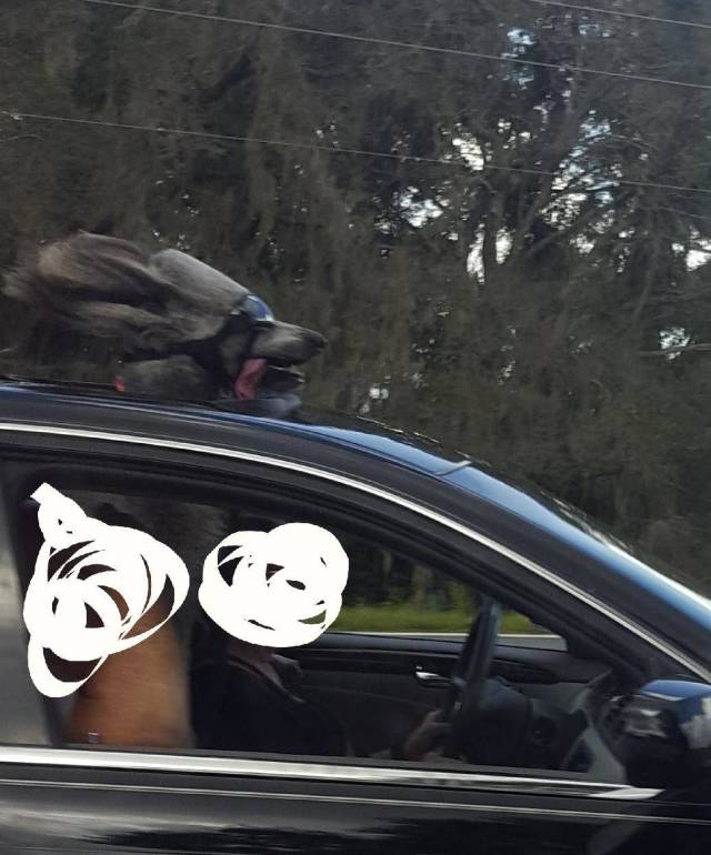 morning picdump 50 pics 14.html - 50 HD Photos | Premium Gallery 2018