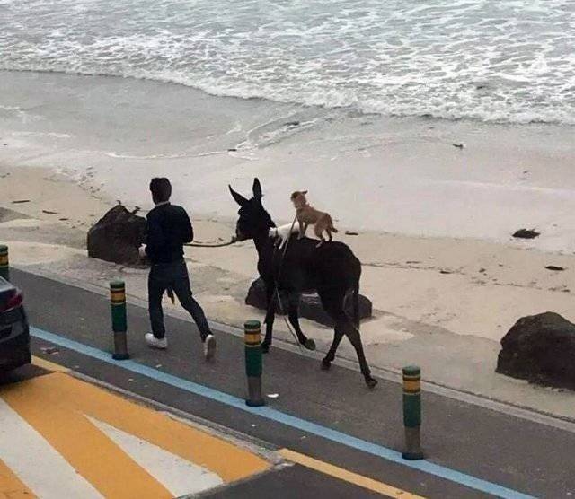 daily picdump 98 pics 38.html - 98 HD Photos | Premium Gallery 2018