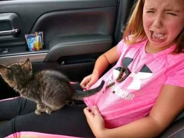 daily picdump 98 pics 38.html - 98 HD Photos | Premium Gallery 2018