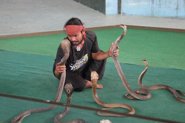 daily picdump 98 pics 38.html - 98 HD Photos | Premium Gallery 2018