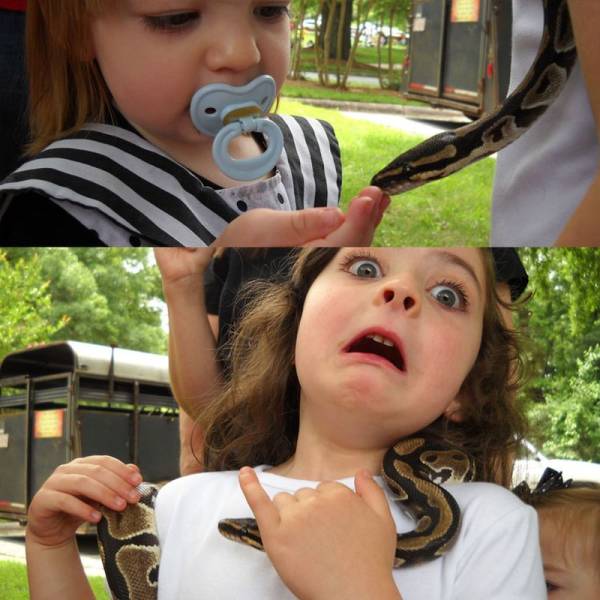 daily picdump 98 pics 38.html - 98 HD Photos | Premium Gallery 2018