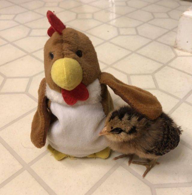 daily picdump 98 pics 38.html - 98 HD Photos | Premium Gallery 2018