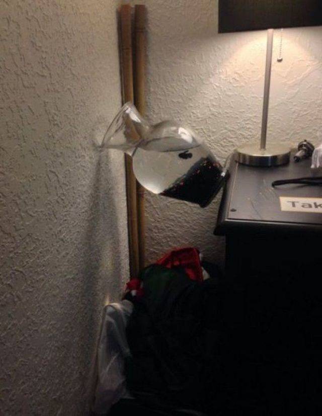 daily picdump 98 pics 38.html - 98 HD Photos | Premium Gallery 2018