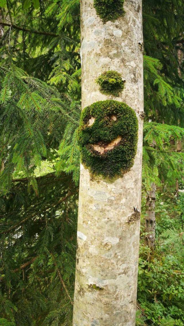 daily picdump 98 pics 38.html - 98 HD Photos | Premium Gallery 2018