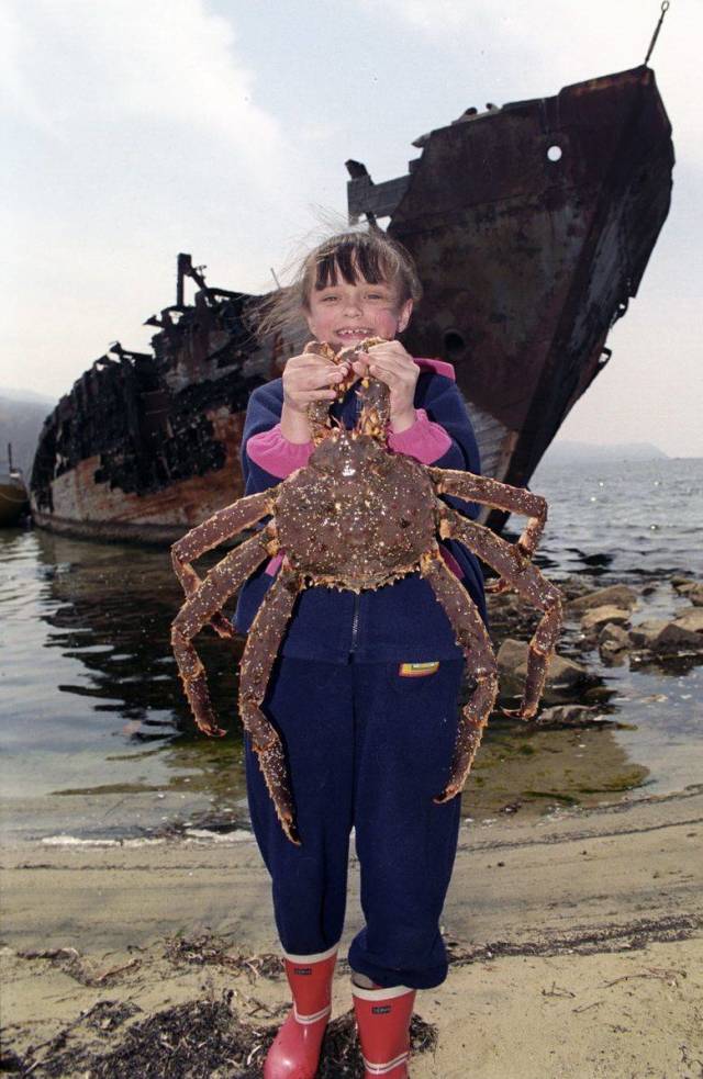 daily picdump 98 pics 38.html - 98 HD Photos | Premium Gallery 2018