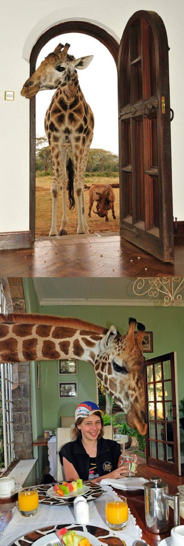 daily picdump 98 pics 38.html - 98 HD Photos | Premium Gallery 2018