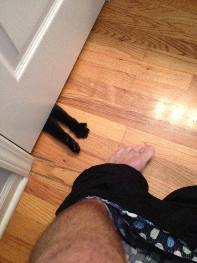 Daily Picdump